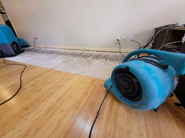 Professional Ceiling Water Damage Repair technician working in Barberton, OH